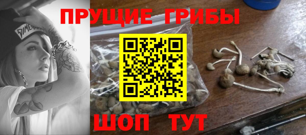 Усолье-Сибирское  Галлюциногенные грибы Psilocybe  Галлюциногенные грибы мицелий  Вход с VPN 